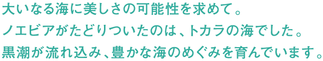 大いなる海に美しさの可能性を求めて。ノエビアがたどりついたのは、トカラの海でした。